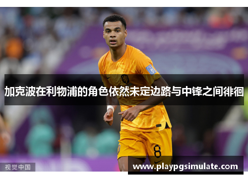 加克波在利物浦的角色依然未定边路与中锋之间徘徊