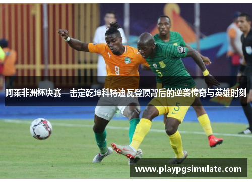阿莱非洲杯决赛一击定乾坤科特迪瓦登顶背后的逆袭传奇与英雄时刻